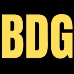 BDG Win APK 2.5 Download Latest Version for Android