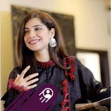 Sajal Malik APK 1.0 (Apk3x) Download latest version For Android