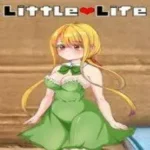 Little Life