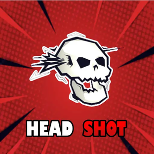 Headshot Panel