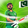 King Of Cricket Game