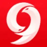 9MOD APK