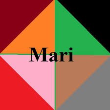 Play With Mari Apk